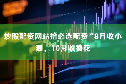 炒股配资网站拾必选配资“8月收小麦、10月收葵花