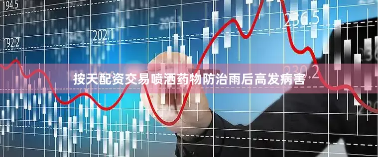 按天配资交易喷洒药物防治雨后高发病害