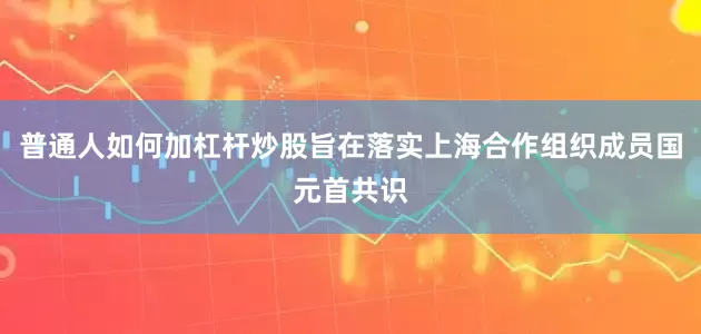 普通人如何加杠杆炒股旨在落实上海合作组织成员国元首共识