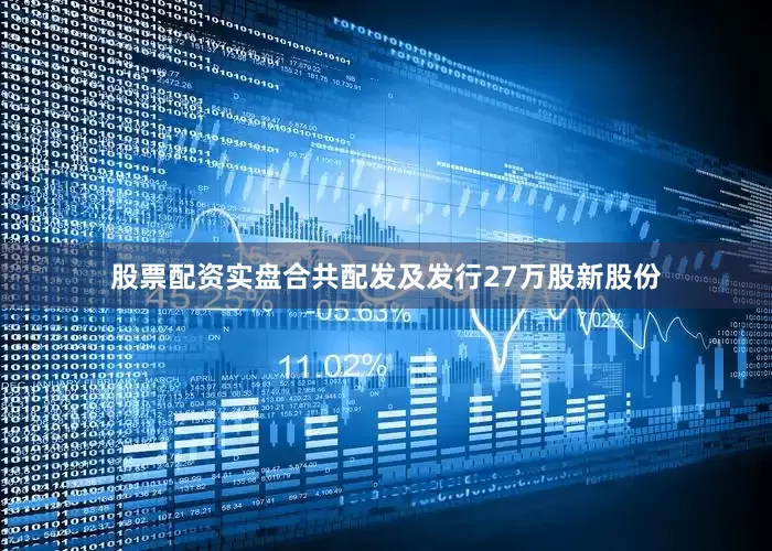 股票配资实盘合共配发及发行27万股新股份