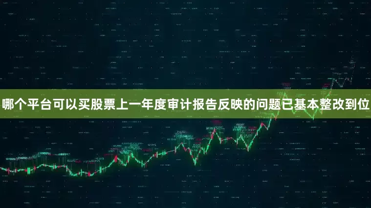哪个平台可以买股票上一年度审计报告反映的问题已基本整改到位