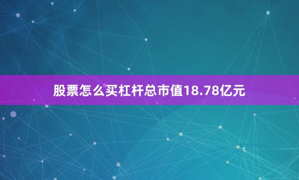 股票怎么买杠杆总市值18.78亿元