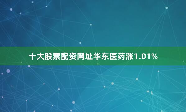 十大股票配资网址华东医药涨1.01%