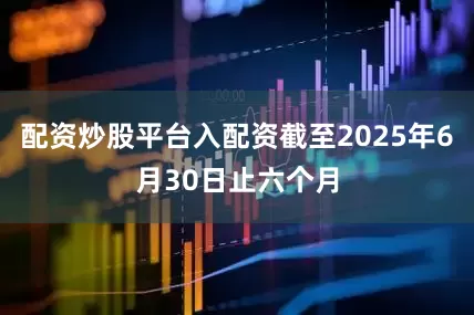 配资炒股平台入配资截至2025年6月30日止六个月