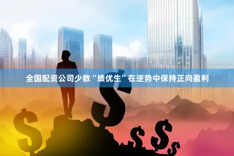 全国配资公司少数“绩优生”在逆势中保持正向盈利