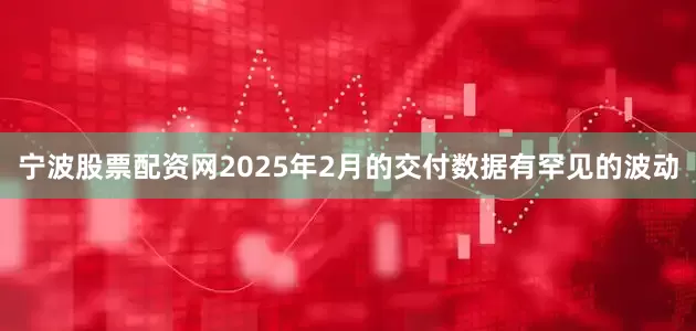 宁波股票配资网2025年2月的交付数据有罕见的波动