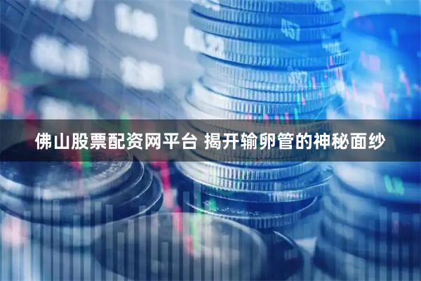 佛山股票配资网平台 揭开输卵管的神秘面纱