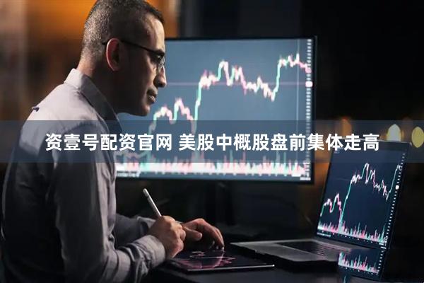 资壹号配资官网 美股中概股盘前集体走高