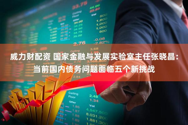 威力财配资 国家金融与发展实验室主任张晓晶：当前国内债务问题面临五个新挑战